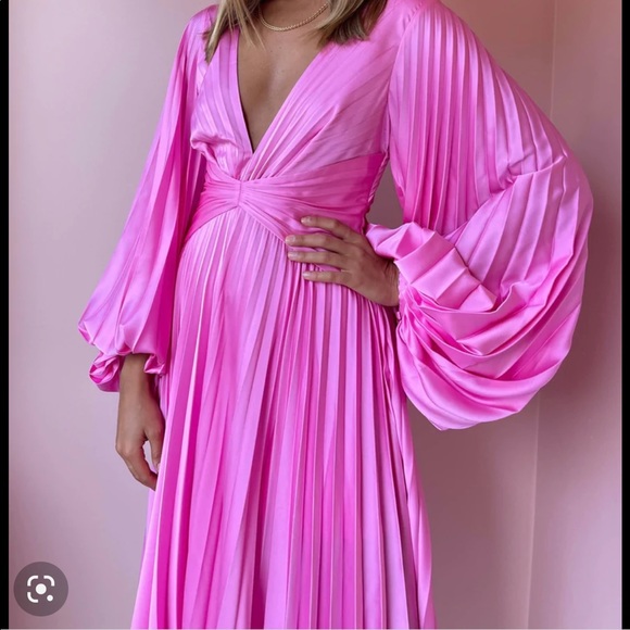 COPY - Acler Palms Pleat Dress- Confetti Pink Size 8 - Picture 3 of 7